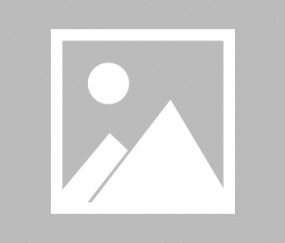 开云平台-索伯车队翻盘红牛车队，诺里斯状态火热