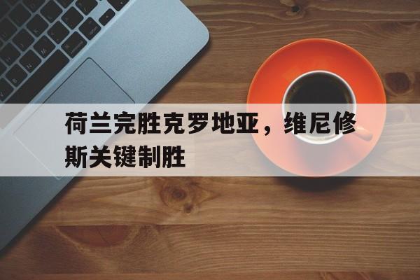 荷兰完胜克罗地亚,维尼修斯关键制胜 荷兰完胜克罗地亚,维尼修斯关键制胜